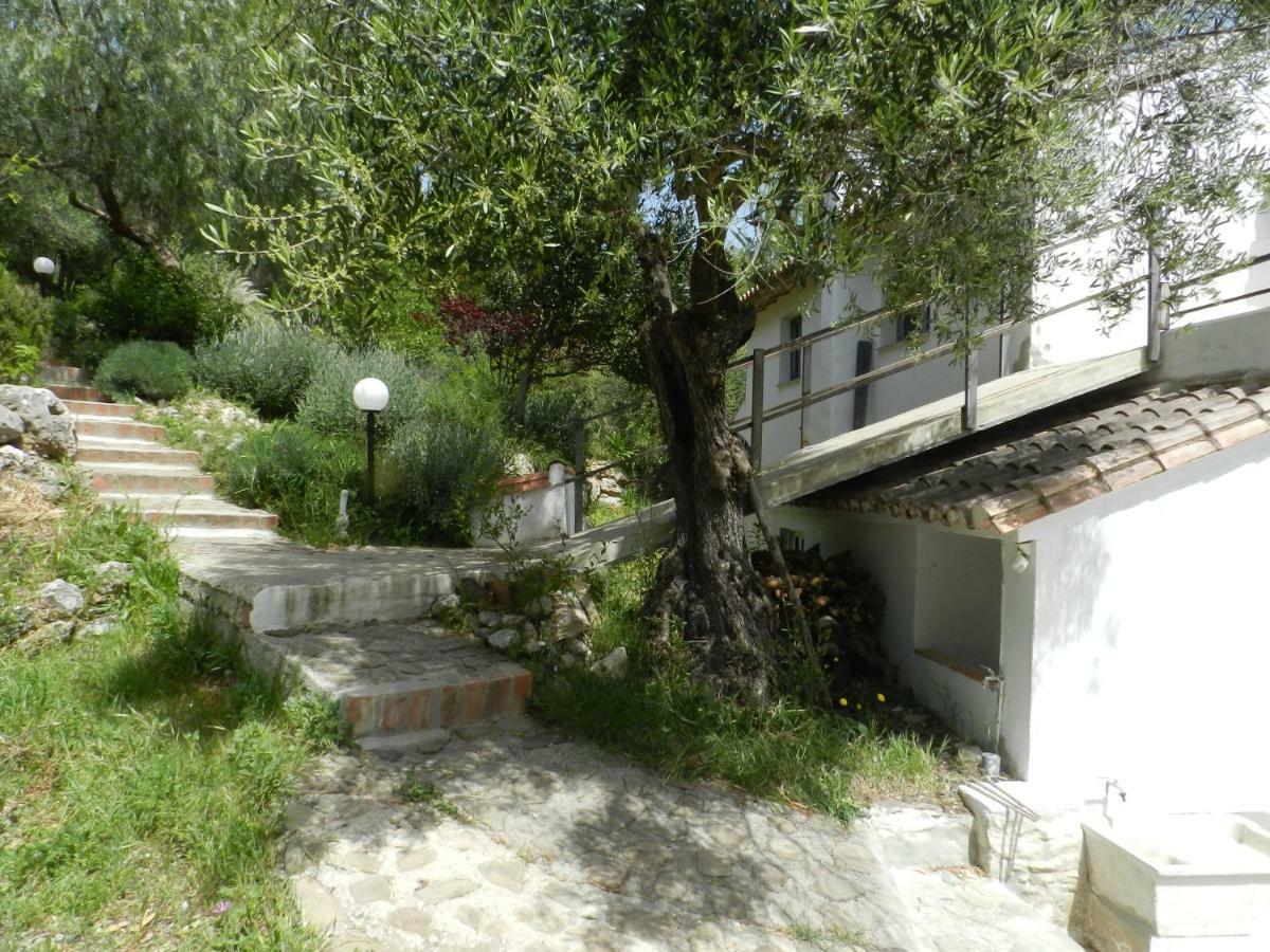 Villa la fontana Cortes de la Frontera Exterior foto